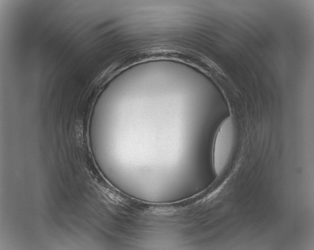 X0000063450825200601200952