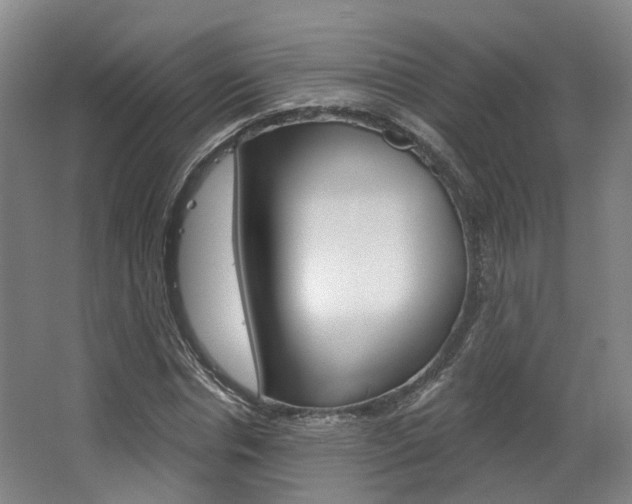 X0000063450826200601200952