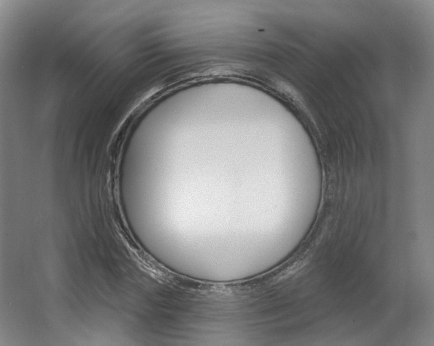 X0000063450827200601200952