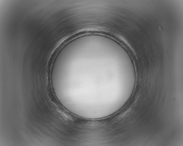 X0000063450829200601200952