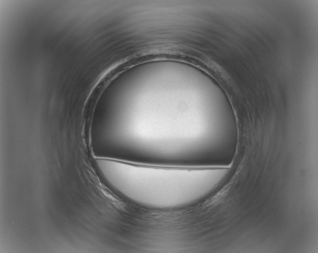 X0000063450830200601200952