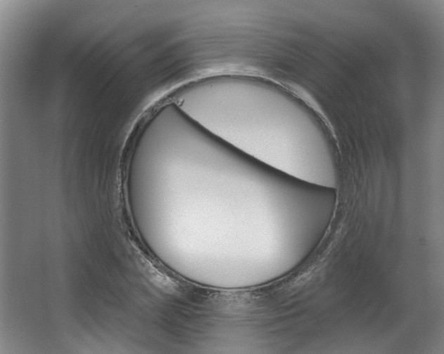 X0000063450831200601200952