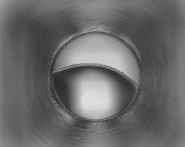 X0000063450834200601200952