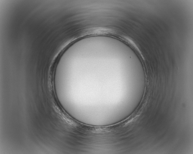 X0000063450835200601200952