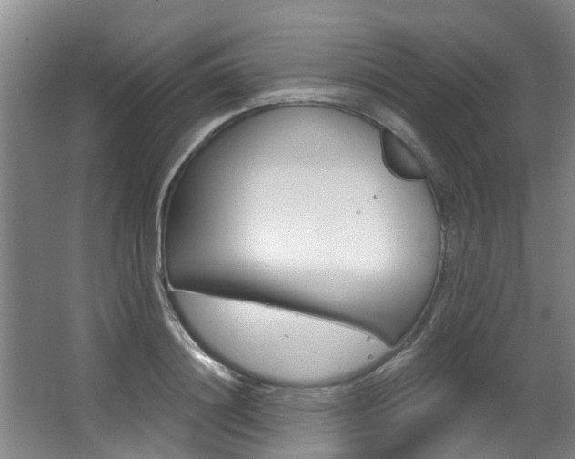 X0000063450844200601200953