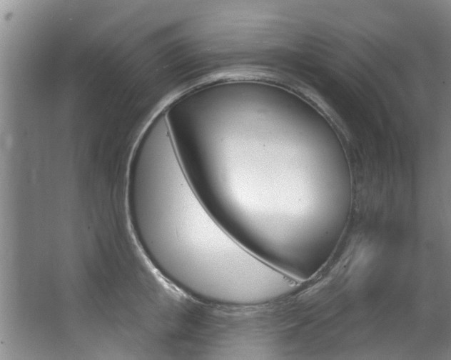X0000063450853200601200953