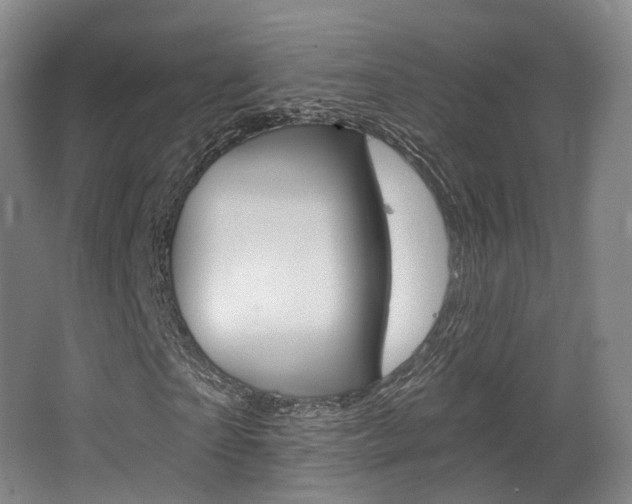 X0000063450865200601200952