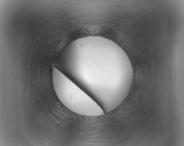 X0000063450866200601200952