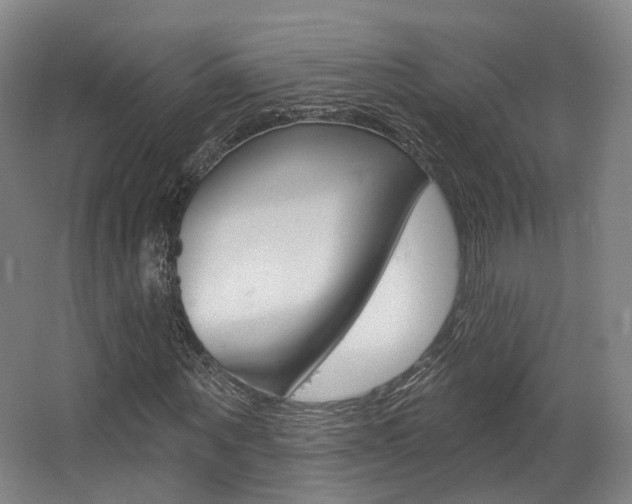 X0000063450867200601200952