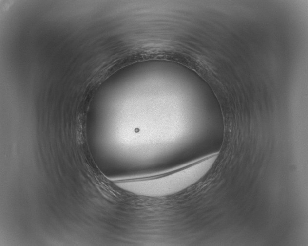 X0000063450868200601200952