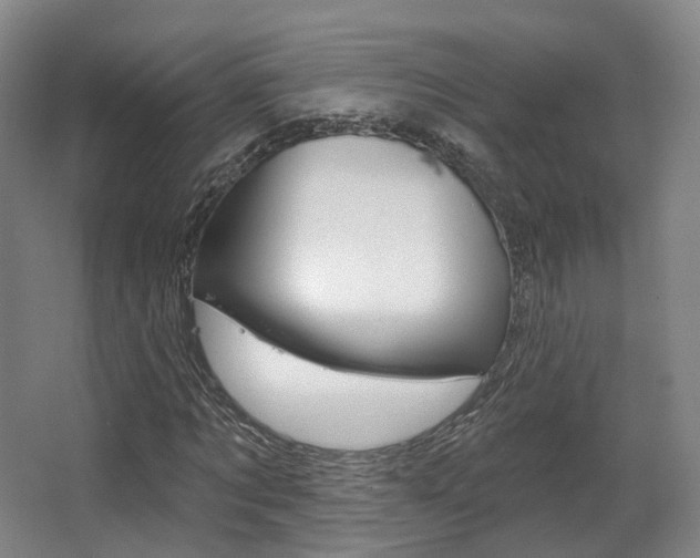X0000063450869200601200952