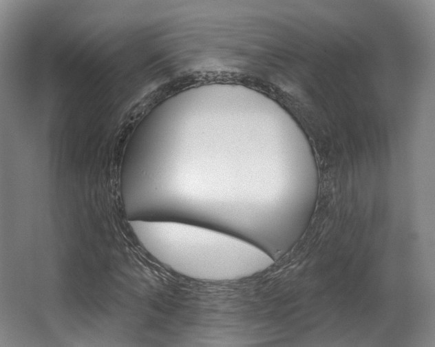 X0000063450870200601200952