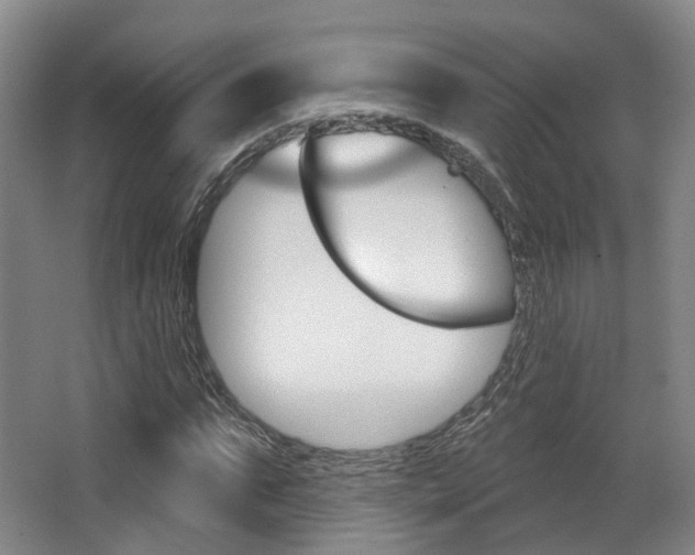 X0000063450871200601200952