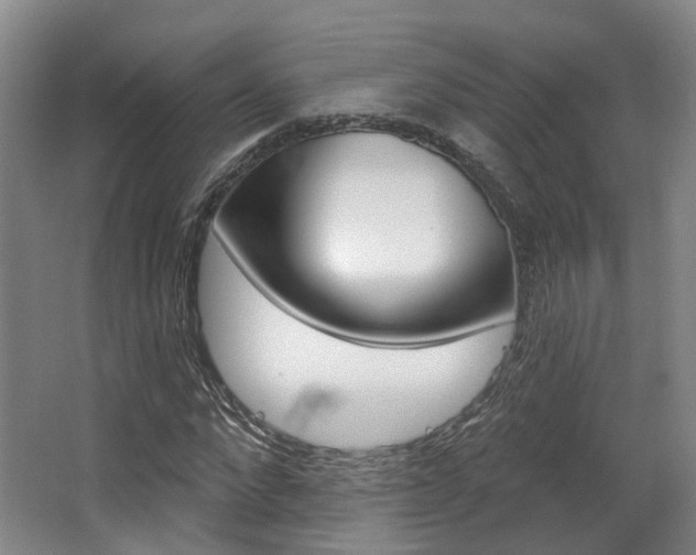X0000063450872200601200952