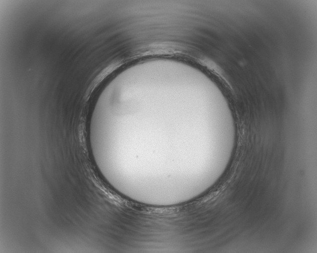 X0000063450874200601200952