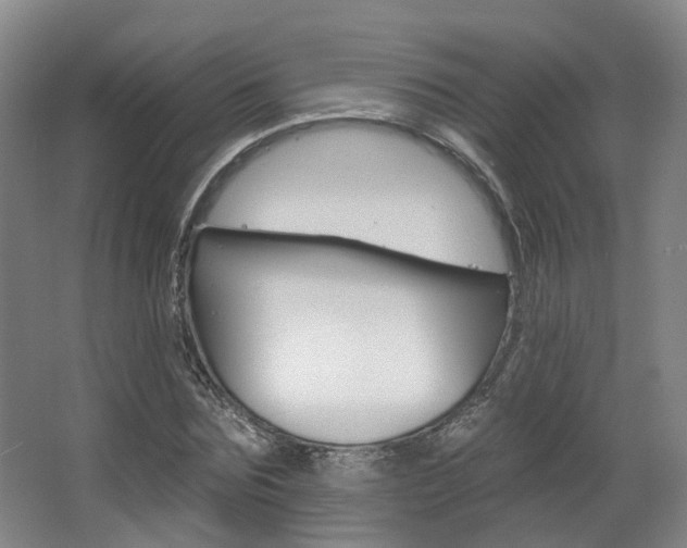 X0000063450875200601200952