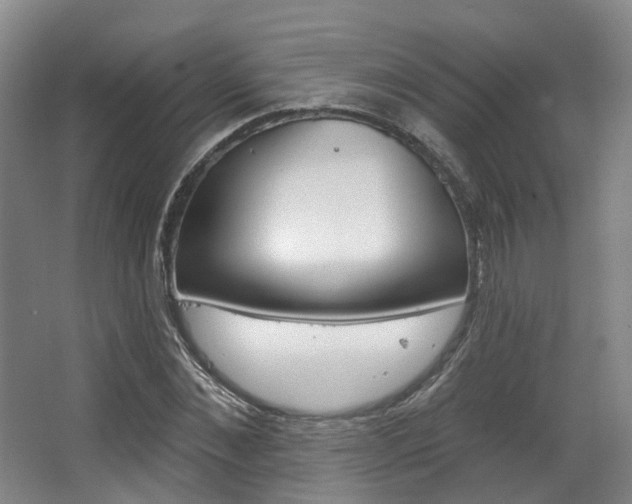 X0000063450876200601200952