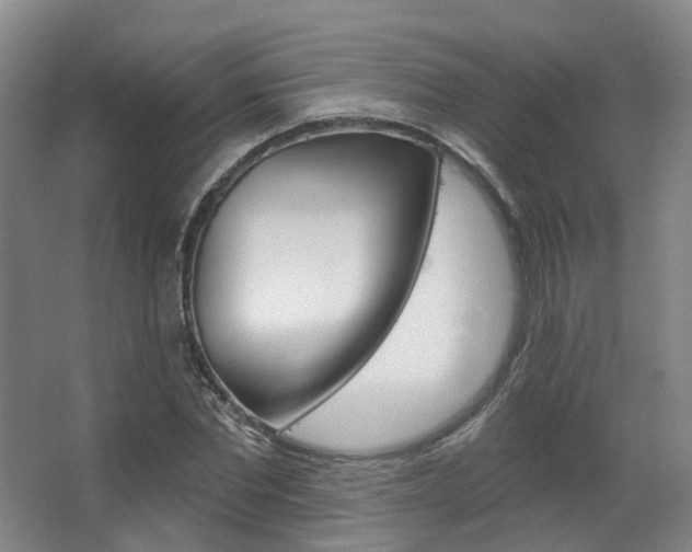 X0000063450877200601200952
