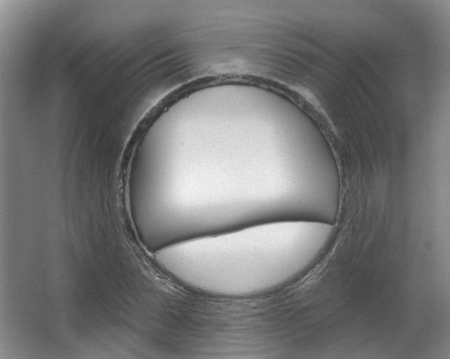 X0000063450879200601200952