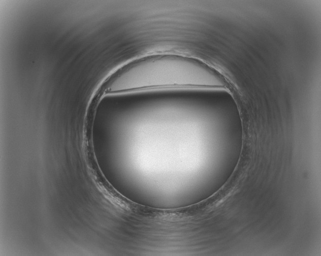 X0000063450880200601200952