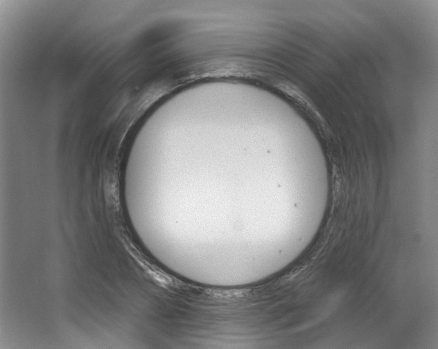 X0000063450882200601200952