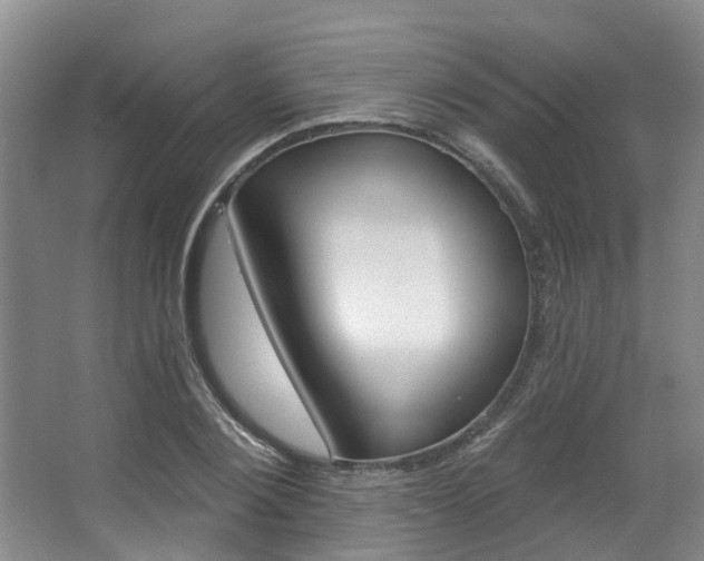 X0000063450884200601200952