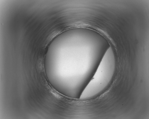 X0000063450889200601200952