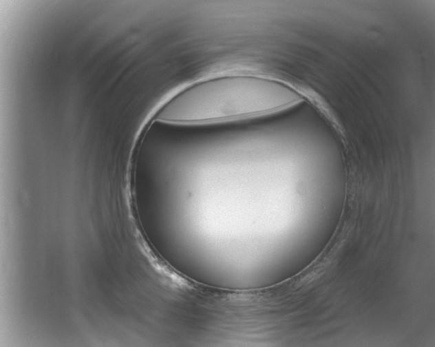 X0000063450904200601200951