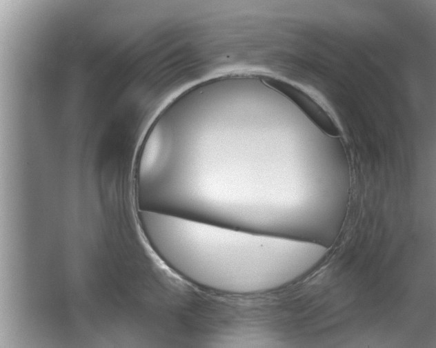 X0000063450911200601200951