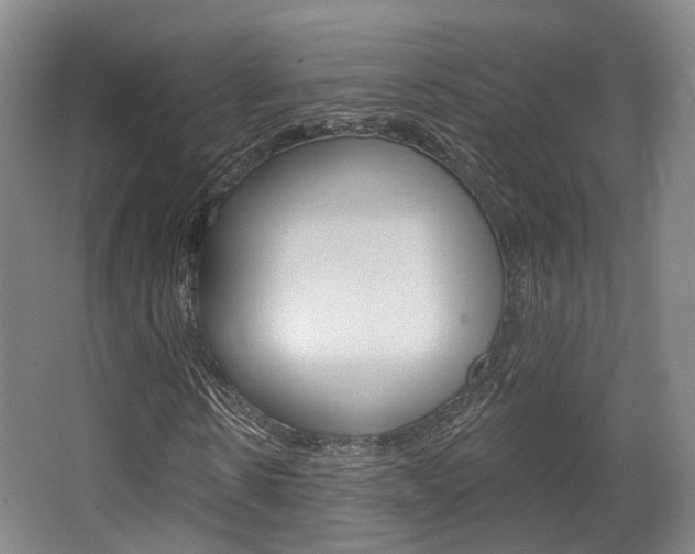 X0000063450914200601200951