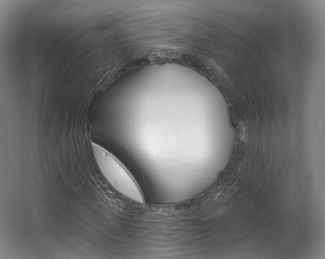 X0000063450915200601200951