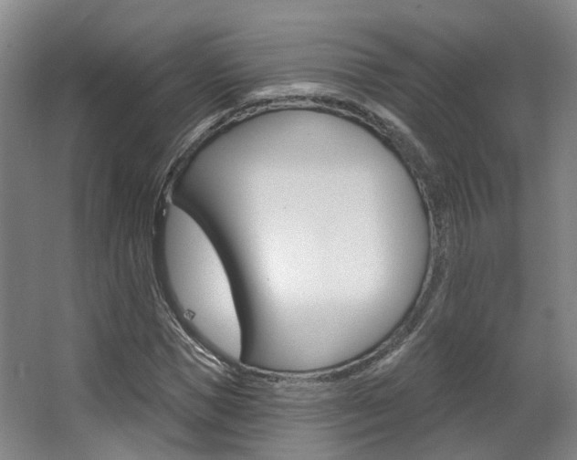 X0000063450921200601200951