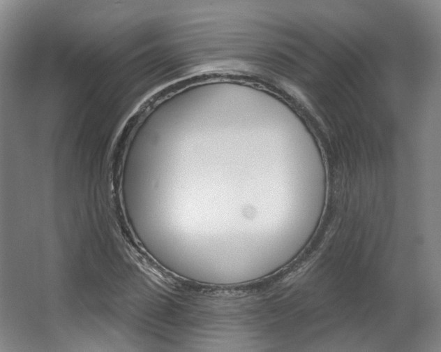 X0000063450923200601200951