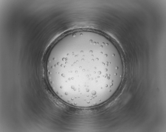 X0000063450925200601200951