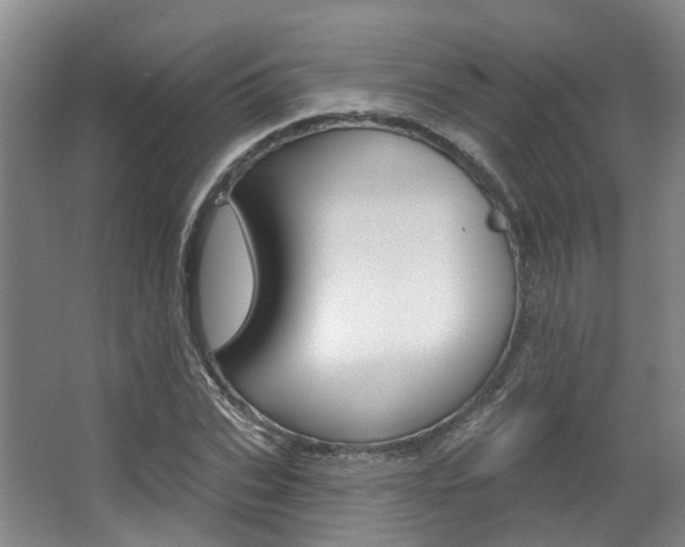 X0000063450927200601200951