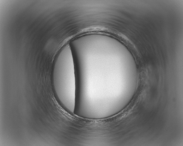 X0000063450929200601200951