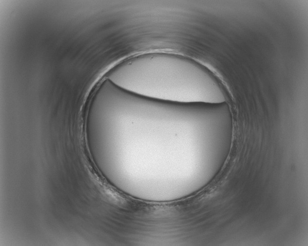 X0000063450933200601200951