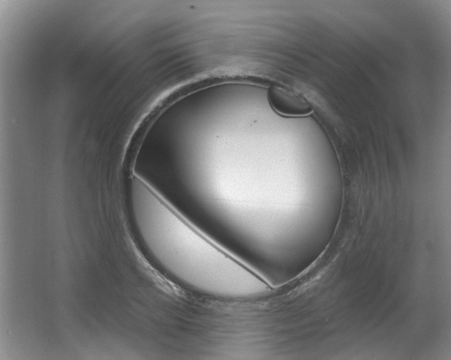 X0000063450934200601200951