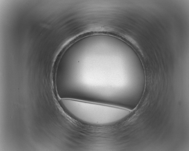 X0000063450935200601200951