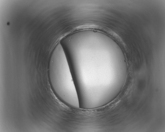 X0000063450937200601200951