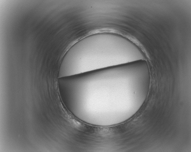 X0000063450945200601200951
