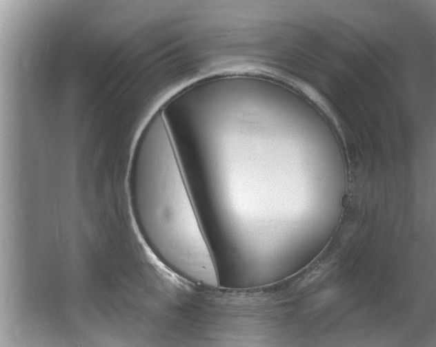 X0000063450951200601200951