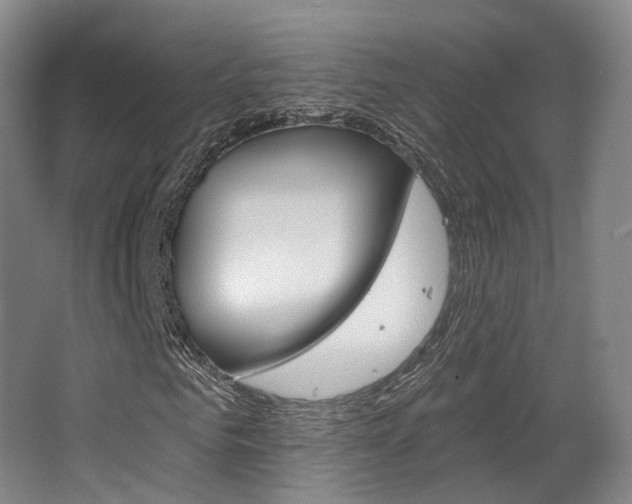 X0000063450961200601200951