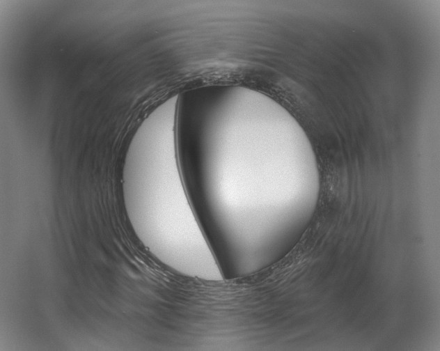 X0000063450964200601200950