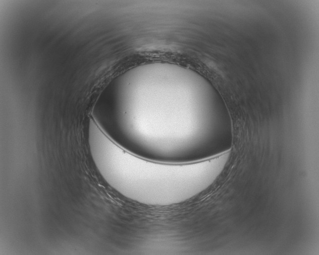 X0000063450965200601200950
