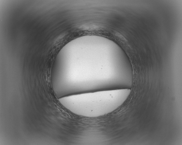 X0000063450966200601200950