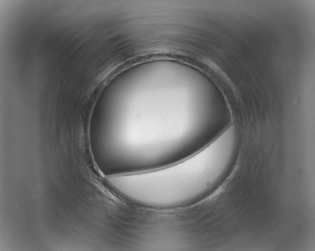 X0000063450969200601200950