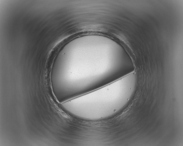 X0000063450971200601200950
