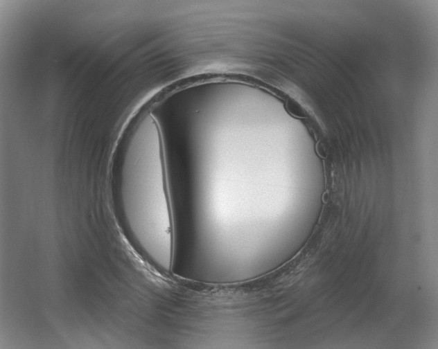 X0000063450972200601200950