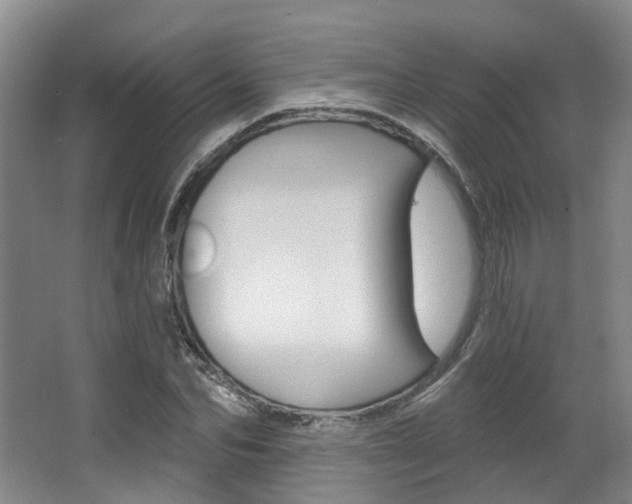 X0000063450974200601200950